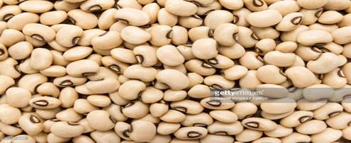 Full Frame Shot Of Beans : Stock Photo